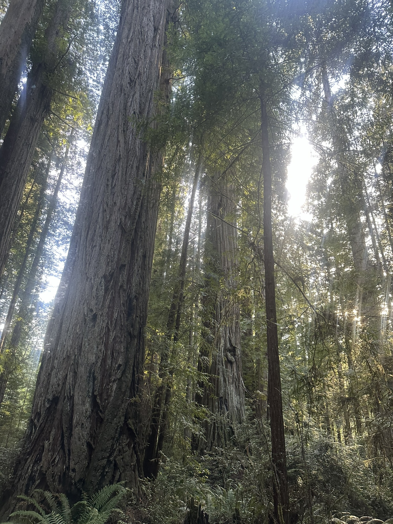 United States-National Parks-Other - Image 3313